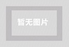 想要流量疯涨吗？学会谷歌 网站排名优化的重点诀窍